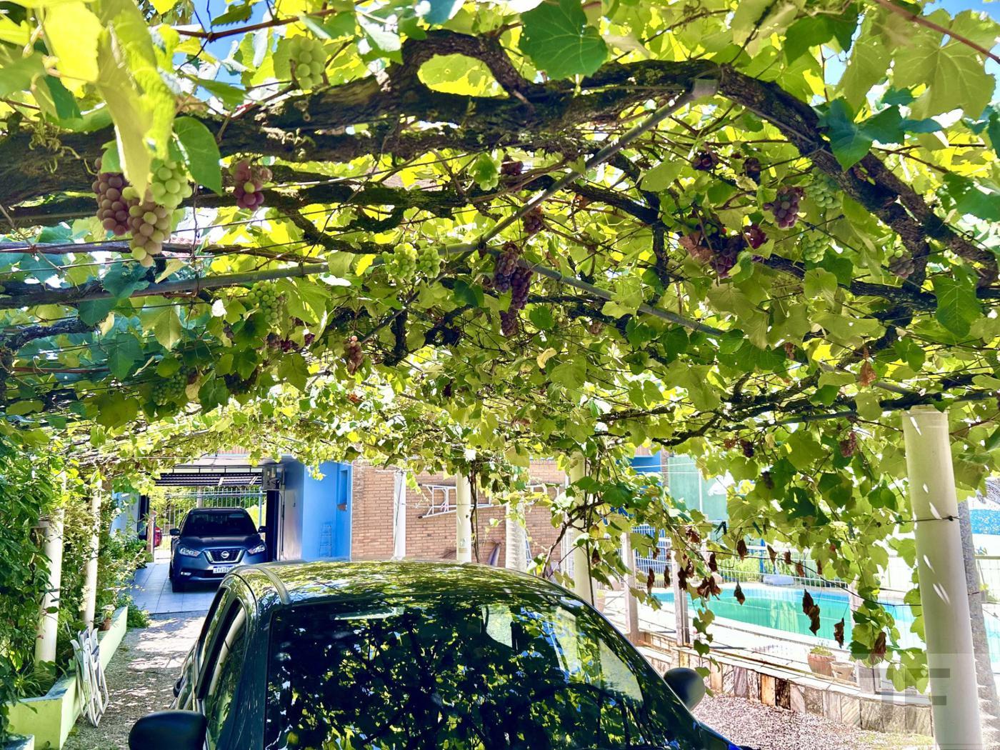 original 1 6328 100114 1726 060126